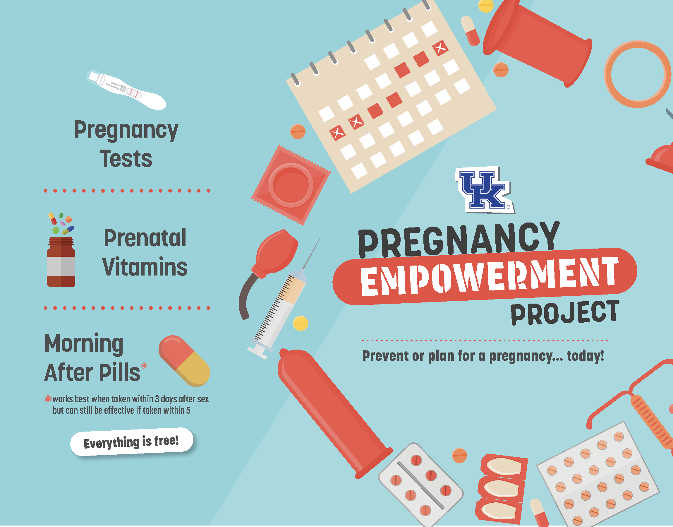 UK Pregnancy Empowerment Project